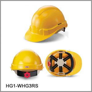 1002-HG1- WHG3RS