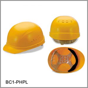 1009-BC1-PHPL